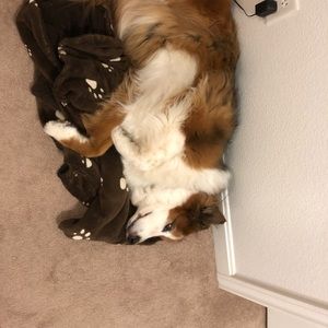 Meet your Posher, Christine